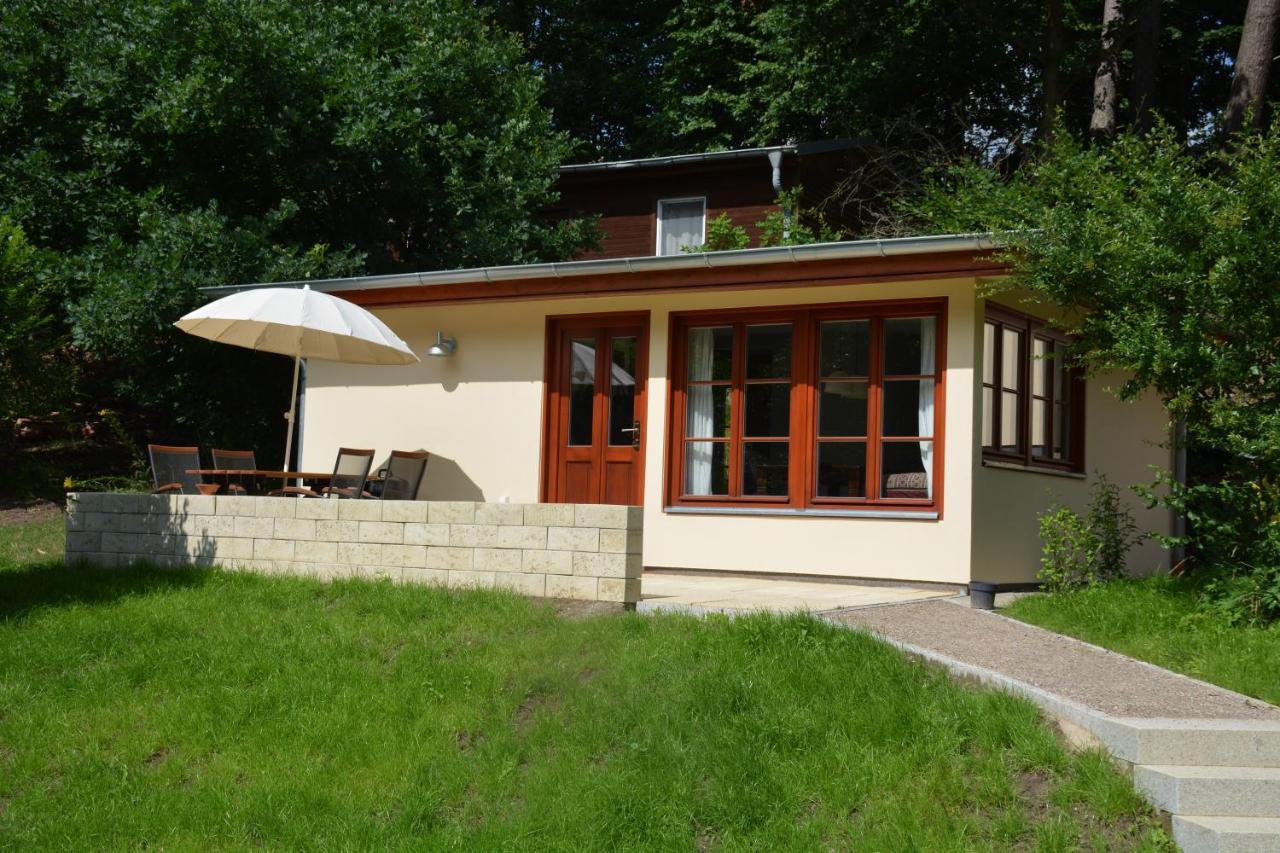 Bungalows Am Waldessaum Bei Hohenzieritz Ngoại thất bức ảnh