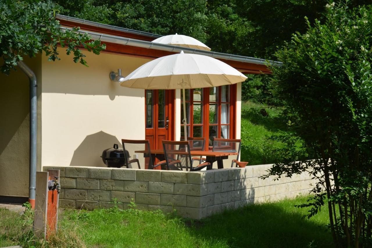Bungalows Am Waldessaum Bei Hohenzieritz Ngoại thất bức ảnh